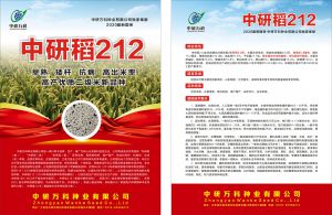 中研稻212